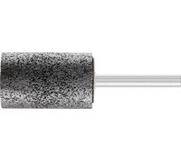PFERD 31151613 Meule sur tige Diamètre 25 mm 10 pc(s)