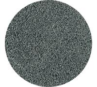 PFERD 42779021 Plateau de ponçage Diamètre 50 mm