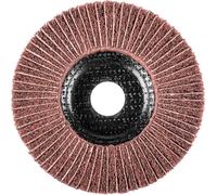 PFERD 44692267 Disque abrasif en feutre Polinox PNZ Ø 125 mm Ø alésage 22,23 mm A 180 pour ponçage et finition de précision 125