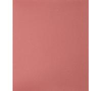 PFERD TOOLS BG BR 230x280 A 240 45013024 Papier abrasif Grain 240 (L x l) 280 mm x 230 mm 50 pc(s)