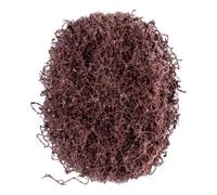 PFERD Disque abrasif en non-tissé D. 40 mm moyen 100 marron PFERD Quantité:100