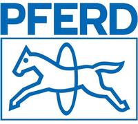 PFERD Lime de précision CORINOX 150 mm 16 x 4,5 mm ( 4000840434 )