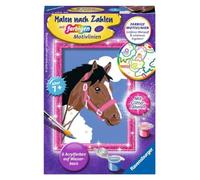 Pferd Malen nach Zahlen Serie F: Mit Glitter-Rahmen