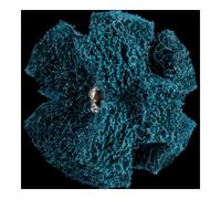 PFERD Polinox T 38-3 A 100 Étoiles à poncer pour chevaux Quantité:1