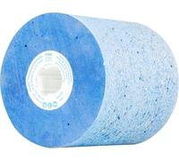 PFERD TOOLS 41030016 Rouleau abrasif PF W 100100/19 CU 16 PU-STRUC Diamètre 100 mm 1 pc(s)