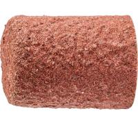 PFERD TOOLS 42301103 Capuchon abrasif Diamètre 10 mm 50 pc(s)