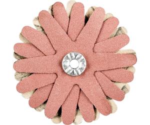 PFERD TOOLS 42732089 Étoiles abrasives Diamètre 60 mm 10 pc(s)