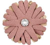 PFERD TOOLS 42732106 Étoiles abrasives Diamètre 70 mm 10 pc(s)
