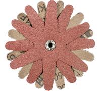 PFERD TOOLS 42732163 Étoiles abrasives Diamètre 100 mm 10 pc(s)