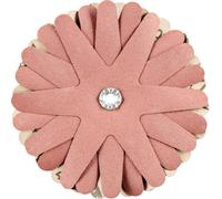 PFERD TOOLS 42732169 Étoiles abrasives Diamètre 100 mm 10 pc(s)