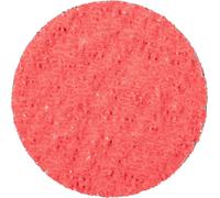 PFERD TOOLS 42749503 Mini-disque fibre Diamètre 50 mm Grain=36 100 pc(s)