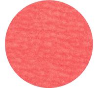 PFERD TOOLS 42749508 Mini-disque fibre Diamètre 50 mm aluminium, bronze, acier inoxydable, Titane 100 pc(s)