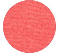 PFERD TOOLS 42749508 Mini-disque fibre Diamètre 50 mm Grain=80 100 pc(s)