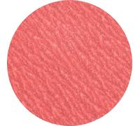 PFERD TOOLS 42749512 Mini-disque fibre Diamètre 50 mm Grain=120 100 pc(s)