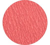 PFERD TOOLS 42778512 Mini-disque fibre Diamètre 50 mm Grain=120 100 pc(s)