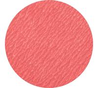 PFERD TOOLS 42778712 Mini-disque fibre Diamètre 75 mm Grain=120 50 pc(s)