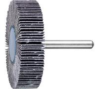 PFERD TOOLS 44460120 Roue à lamelles sur tige Diamètre 60 mm 10 pc(s)