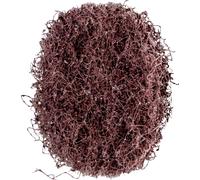 PFERD TOOLS 44637100 Ronde pour corps en marbre Diamètre 40 mm 100 pc(s)