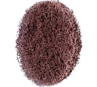 PFERD TOOLS 44638100 Ronde pour corps en marbre Diamètre 50 mm 100 pc(s)