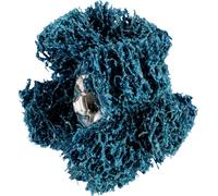 PFERD Polinox T 25-2 A 100 Étoiles à poncer pour chevaux Quantité:1