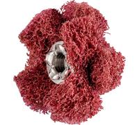 PFERD TOOLS 44698253 Étoiles abrasives Diamètre 25 mm 20 pc(s)