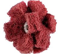 PFERD Polinox T 38-3 A 280 Étoiles à poncer pour chevaux Quantité:1