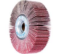 PFERD TOOLS 44730304 Roue à éventail Diamètre 165 mm 2 pc(s)