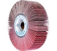 PFERD TOOLS 44730306 Roue à éventail Diamètre 165 mm 2 pc(s)