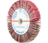 PFERD TOOLS 44781604 Roue à éventail Diamètre 115 mm 2 pc(s)