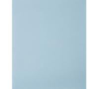 PFERD TOOLS 45015100 Feuille abrasive pour ponçage manuel Grain 1000 (L x l) 280 mm x 230 mm 50 pc(s)
