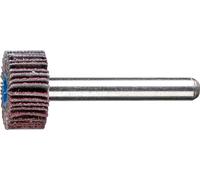 PFERD TOOLS 47801067 Roue à lamelles sur tige Diamètre 20 mm 10 pc(s)