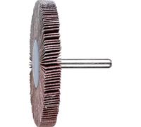 PFERD TOOLS 47801110 Roue à lamelles sur tige Diamètre 80 mm 10 pc(s)
