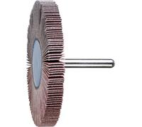 PFERD TOOLS 47801576 Roue à lamelles sur tige Diamètre 80 mm 10 pc(s)
