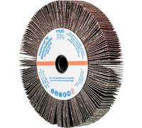 PFERD TOOLS 47802664 Roue à éventail Diamètre 125 mm 2 pc(s)
