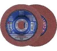 PFERD TOOLS 67689068 A Sgp Curve Alu Disque segmenté Diamètre 125 mm Ø de perçage 22.23 mm Grain 40 10 pc(s)