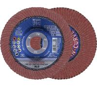 PFERD TOOLS 67689068 A Sgp Curve Alu Disque segmenté Diamètre 125 mm Ø de perçage 22.23 mm Grain 40 10 pc(s)