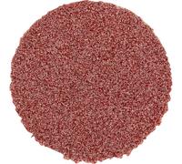PFERD TOOLS CD 20 A 120 42750212 Feuille abrasive Grain 120 (Ø) 20 mm 100 pc(s)