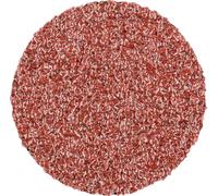 PFERD TOOLS CD 20 A 60 42750206 Feuille abrasive Grain 60 (Ø) 20 mm 100 pc(s)