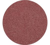 PFERD TOOLS CD 25 A 320 42750332 Feuille abrasive Grain 320 (Ø) 25 mm 100 pc(s)