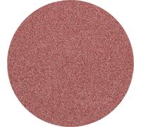 PFERD TOOLS CD 38 A 180 42750418 Feuille abrasive Grain 180 (Ø) 38 mm 100 pc(s)