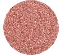 PFERD TOOLS CD 38 A 36 42750403 Feuille abrasive Grain 36 (Ø) 38 mm 100 pc(s)