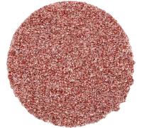 PFERD TOOLS CD 38 A 36 FORTE 42751403 Feuille abrasive Grain 36 (Ø) 38 mm 100 pc(s)