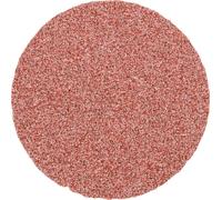 PFERD TOOLS CD 38 A 60 42750406 Feuille abrasive Grain 60 (Ø) 38 mm 100 pc(s)