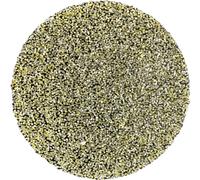 PFERD TOOLS CD DIA 25 D 251 - P 60 42740001 Feuille abrasive Grain 251 (Ø) 25 mm 10 pc(s)