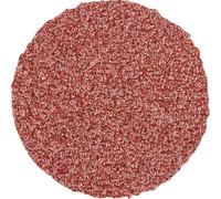 PFERD TOOLS CDR 20 A 80 42770208 Feuille abrasive Grain 80 (Ø) 20 mm 100 pc(s)