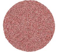 PFERD TOOLS CDR 25 A 80 FORTE 42771308 Feuille abrasive Grain 80 (Ø) 25 mm 100 pc(s)