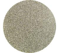 PFERD TOOLS CDR DIA 50 D 251 - P 60 42758007 Feuille abrasive Grain 251 (Ø) 50 mm 10 pc(s)