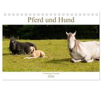 Pferd und Hund - Vierbeinige Freunde (Tischkalender 2026 DIN A5 quer), CALVENDO Monatskalender: Pferd, Pony und Hund in Harmonie