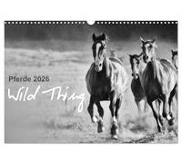 Pferde 2026 Wild Thing (Wandkalender 2026 DIN A3 quer), CALVENDO Monatskalender: Pferde auf der Koppel