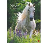 Pferde Classics Posterkalender 2026: Die Eleganz der Tiere in einem Kalender im Posterformat eingefangen von Sabine Stuewer. Hochwertiger Fotokalender für Pferdefreunde.